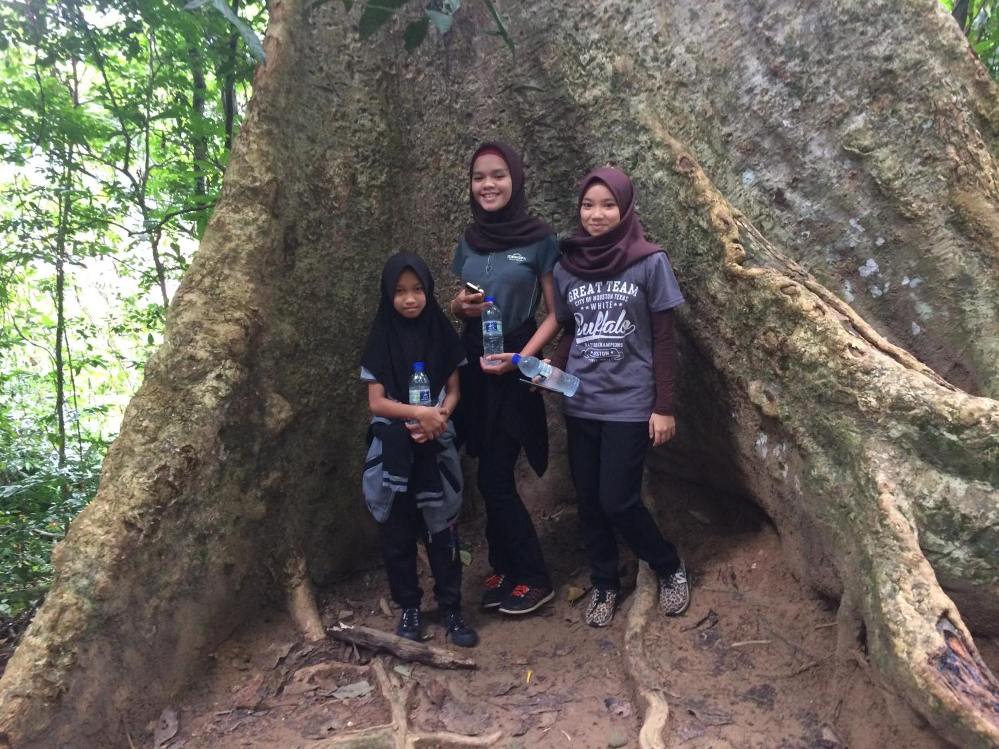 Dtahan Motel Taman Negara Kuala Tahan Luaran gambar